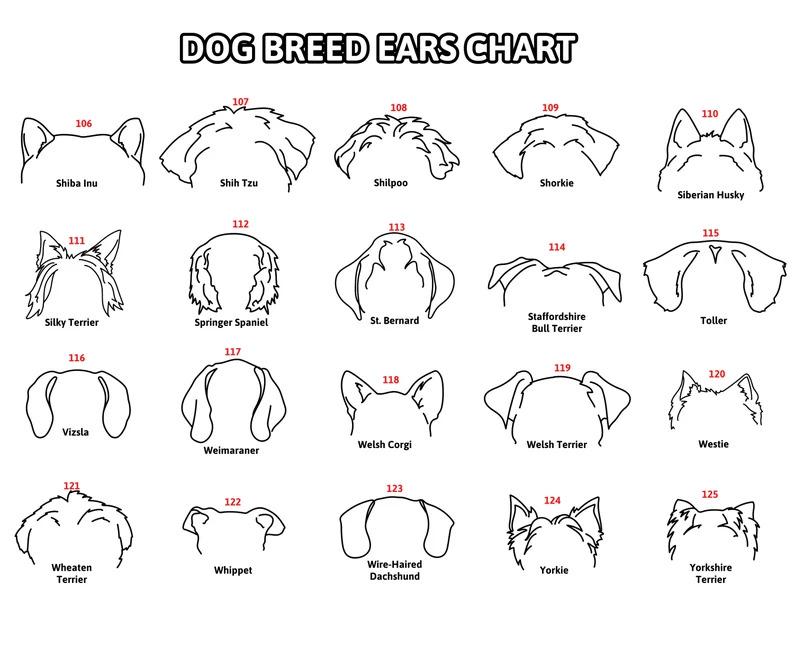 Dog Ears Outline Crate Name Tag, Custom Dog Decor, Hanging Crate Sign, Custom Crate Sign, Dog Bone Sign, Custom Dog Gift, Crate Dog Decor Dog Ears Outline Crate Name Tag, Custom Dog Decor, Hanging Crate Sign, Custom Crate Sign, Dog Bone Sign, Custom Dog Gift, Crate Dog Decor