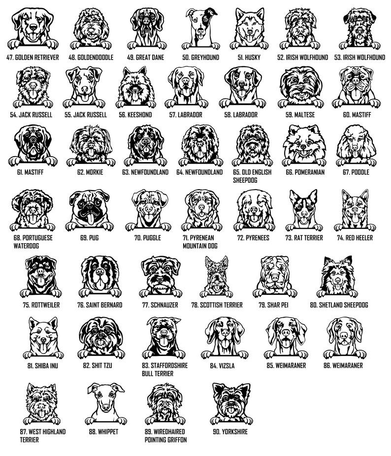 Dog Peeking Crate Name Tag, Custom Dog Decor, Hanging Crate Sign, Custom Crate Sign, Dog Bone Sign, Custom Dog Gift, Crate Dog Decor Dog Peeking Crate Name Tag, Custom Dog Decor, Hanging Crate Sign, Custom Crate Sign, Dog Bone Sign, Custom Dog Gift, Crate Dog Decor